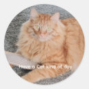 Search for orange tabby stickers Kitty