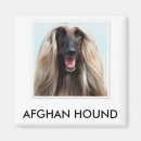 Search for afghan magnets Dog