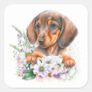 Search for sausage dog stickers Pet