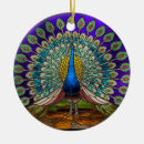 Search for peacock ornaments Colourful