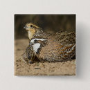 Recherche de de camouflage badges Chasse