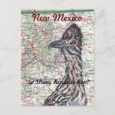 Search for roadrunners postcards New mexico