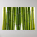 Search for bamboo background posters Asian
