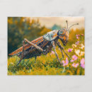 Recherche de sauterelle cartes postales Nature