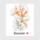 Search for lilium stickers Floral