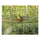 Recherche de étreindre posters Embrasser