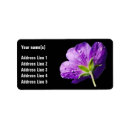 Search for geranium labels Purple