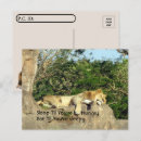 Search for til postcards Funny