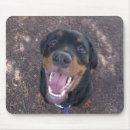 Search for rottweiler electronics Animals
