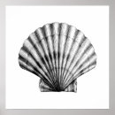 Search for vintage shell posters Nautical
