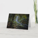 Search for new zealand cards Fern
