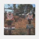 Search for funny pig magnets Pork