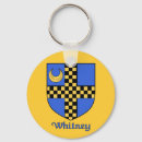 Search for family shield keychains Irish