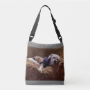 Search for dog napping bags Cute