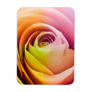 Search for anniversary rectangular magnets Celebration