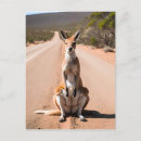 Search for in the outback postcards Photography