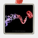 Search for dna ornaments Life