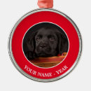Recherche de labrador retriever ornements Chiot