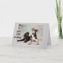 Recherche de 13 ans anniversaire cartes Chien