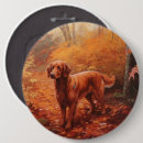 Search for irish setter buttons Pet