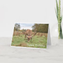 Search for stag birthday cards Forest