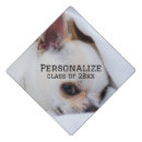 Search for pet graduation cap toppers Dog