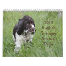 Search for spaniel calendars Dogs