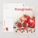 Search for pomegranate postcards Seeds