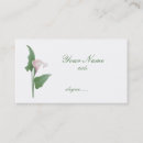 Recherche de callas cartes visite Calla lily