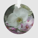 Search for white orchids ornaments Purple