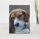 Search for rescues cards Beagle