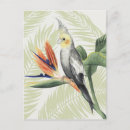 Recherche de oiseaux noirs cartes postales Floral