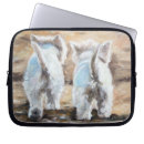Search for westie cases Terriers