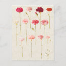 Search for vintage botanical postcards Red