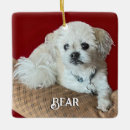 Search for maltese dog ornaments Animals