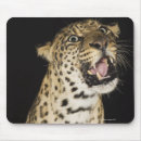 Search for aggressive electronics Wildlife