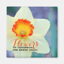Search for daffodil magnets Floral