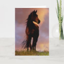 Search for western sympathy cards Horse
