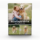 Search for dog loss quote In loving memory