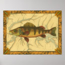 Search for yellow fish art Fishing