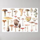 Search for vintage french kitchen posters Antique