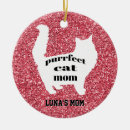 Search for cat mom ornaments Pet