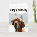 Search for middle aged Birthday