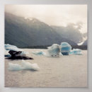 Search for ice posters Ocean