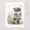 Recherche de malamute cartes postales Amoureux des chiens