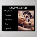 Search for weiners posters Dachshund