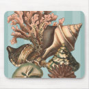 Search for nautical mousepads Conch seashell