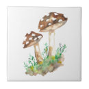 Recherche de champignon carreaux Brun