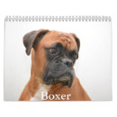 Search for boxer dog calendars Puppy