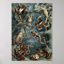 Search for naturaliste posters Nature